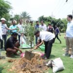 One Tree in Mother’s Name