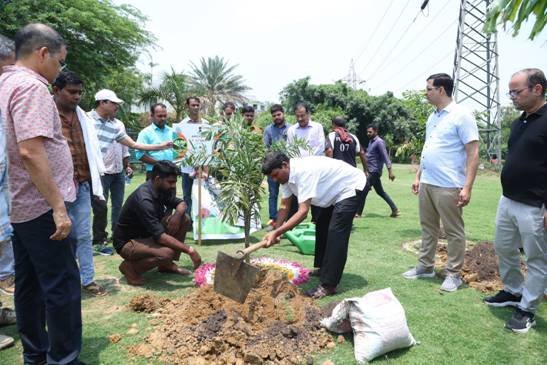 One Tree in Mother’s Name