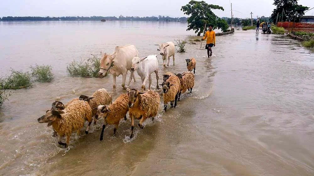 Assam  Flood