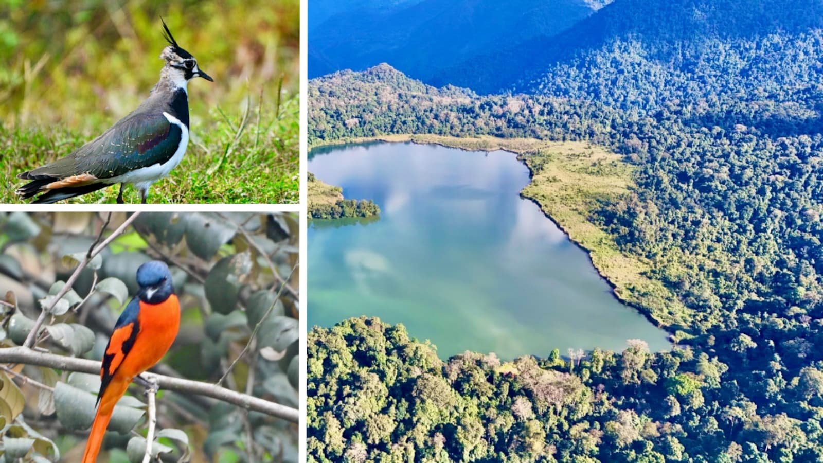 Arunachal Pradesh