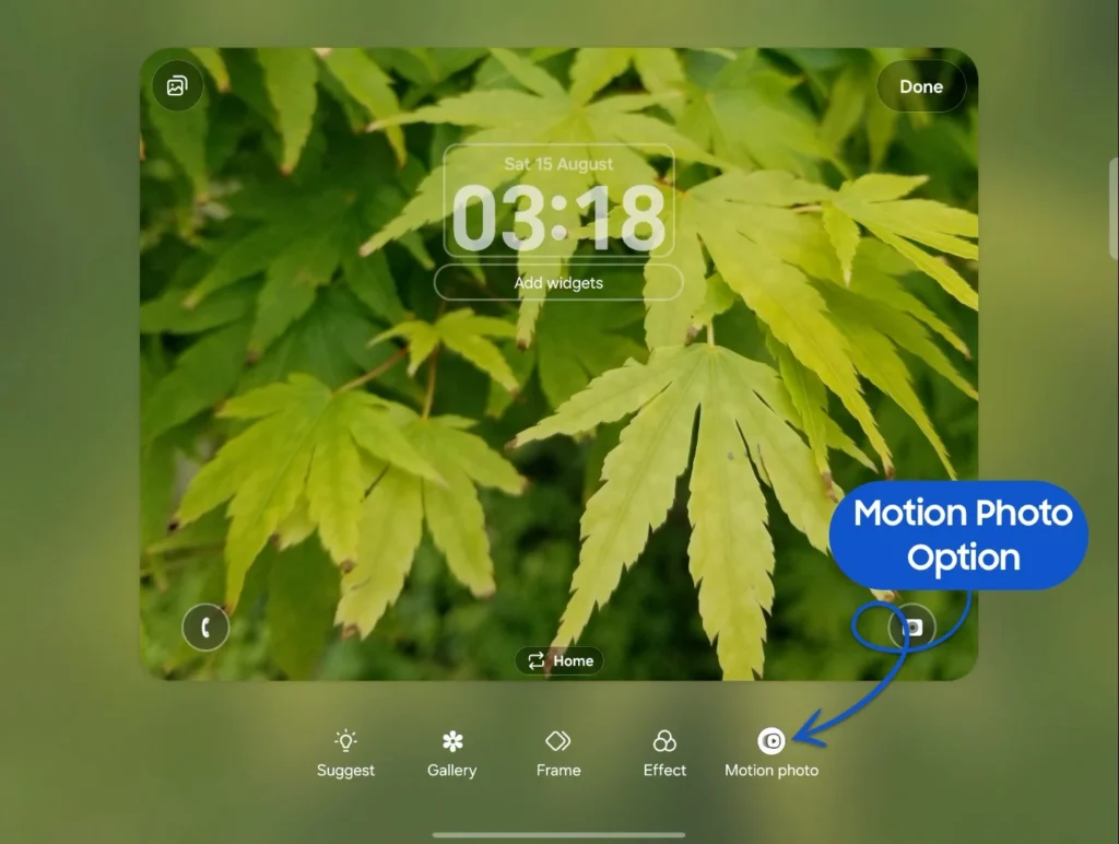 motion photo wallpaper